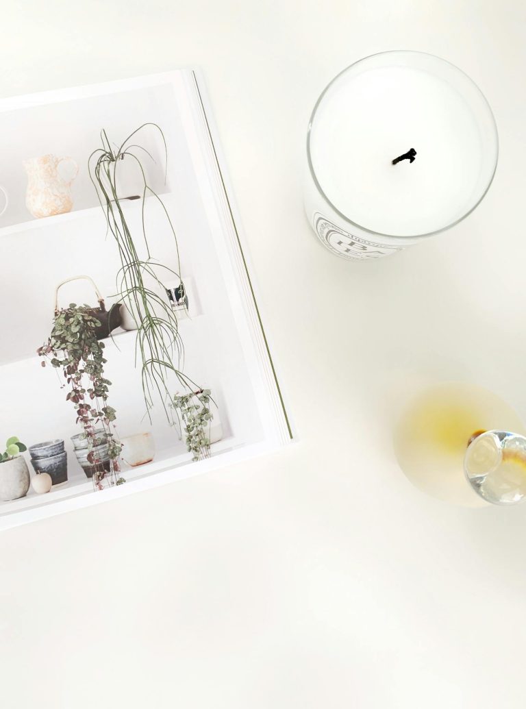 A Scandinavian-inspired flatlay showcasing plants, a candle, and a modern aesthetic.